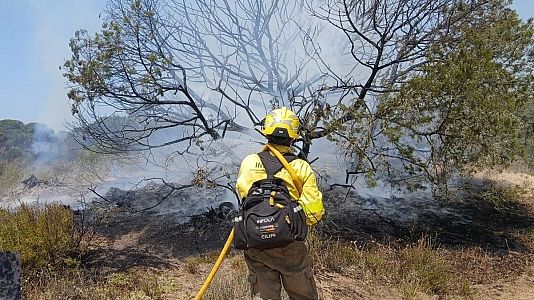 Bombero forestal trabajando para extinguir el incendio en Do�ana