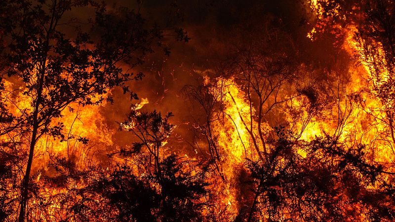 Castilla-La Mancha intenta blindar sus montes: 126 millones de euros y 2.700 profesionales contra los incendios en 2026