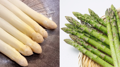 Esp�rragos blancos y verdes: �en qu� se diferencian?