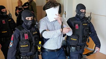 El acusado de planear un ataque a un concierto de Taylor Switf en Viena es escoltado de regreso a la sala del Tribunal de Distrito de Wiener Neustadt, Austria.