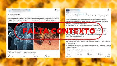 El veneno de abeja no cura el c�ncer de mama: es un estudio precl�nico que no se ha probado en humanos