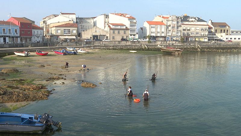 Mar defende o plan do marisqueo fronte ás críticas da oposición