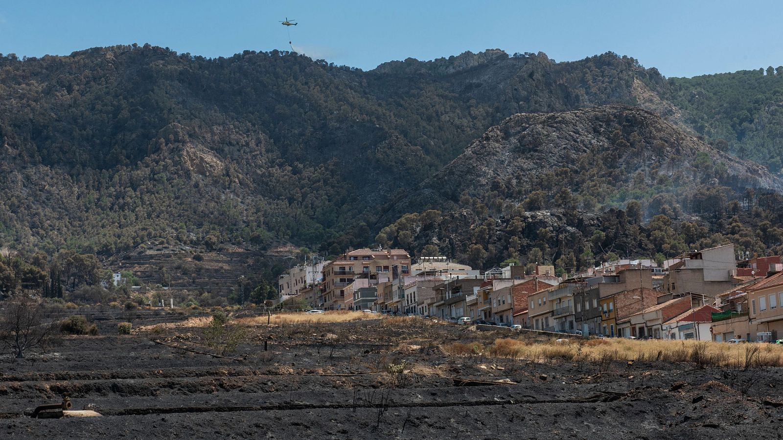 Estabilizado el incendio en Los Garres, Murcia | Ver