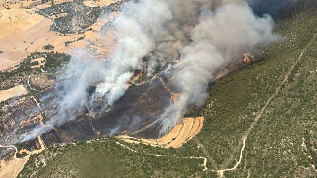 Les flames han comen�at en una zona agr�cola i han progressat fins a una �rea de vegetaci� forestal