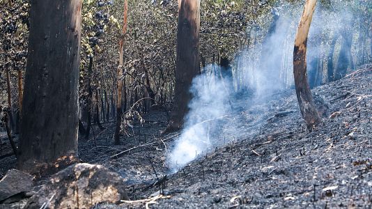 El fuego en Grado, Asturias, estabilizado y perimetrado