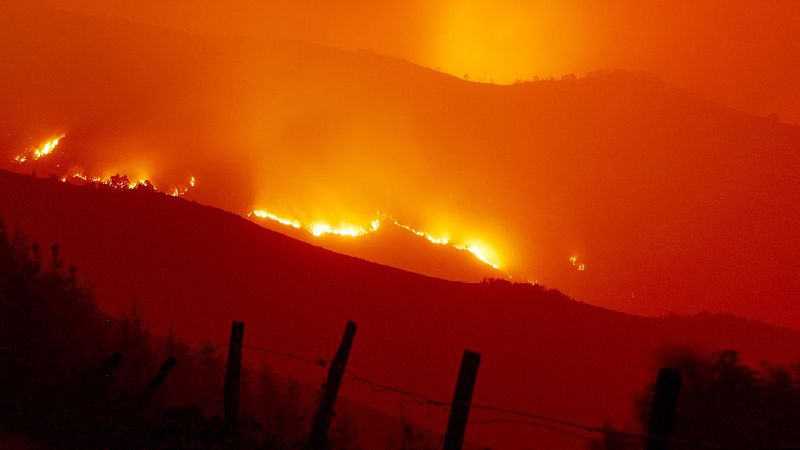 El incendio del sur de Tenerife ha quemado 220 hectáreas y se apunta al origen humano