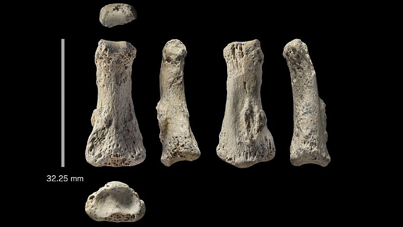 Los primeros 'Homo sapiens' llegaron a Arabia, más lejos de lo que se pensaba