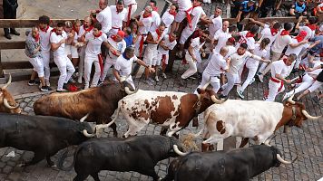Los toros de Victoriano del R�o protagonizan el tercer encierro de los Sanfermines