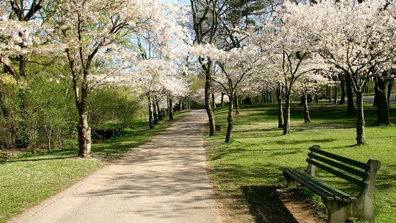 Un paseo por el parque