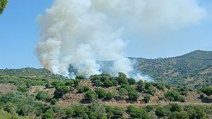El fum de l'incendi declarat al terme municipal de Tiana