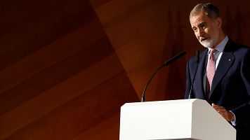 El rey Felipe VI en una imagen de archivo