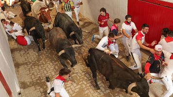 La ganader�a Miura, sin�nimo de nobleza