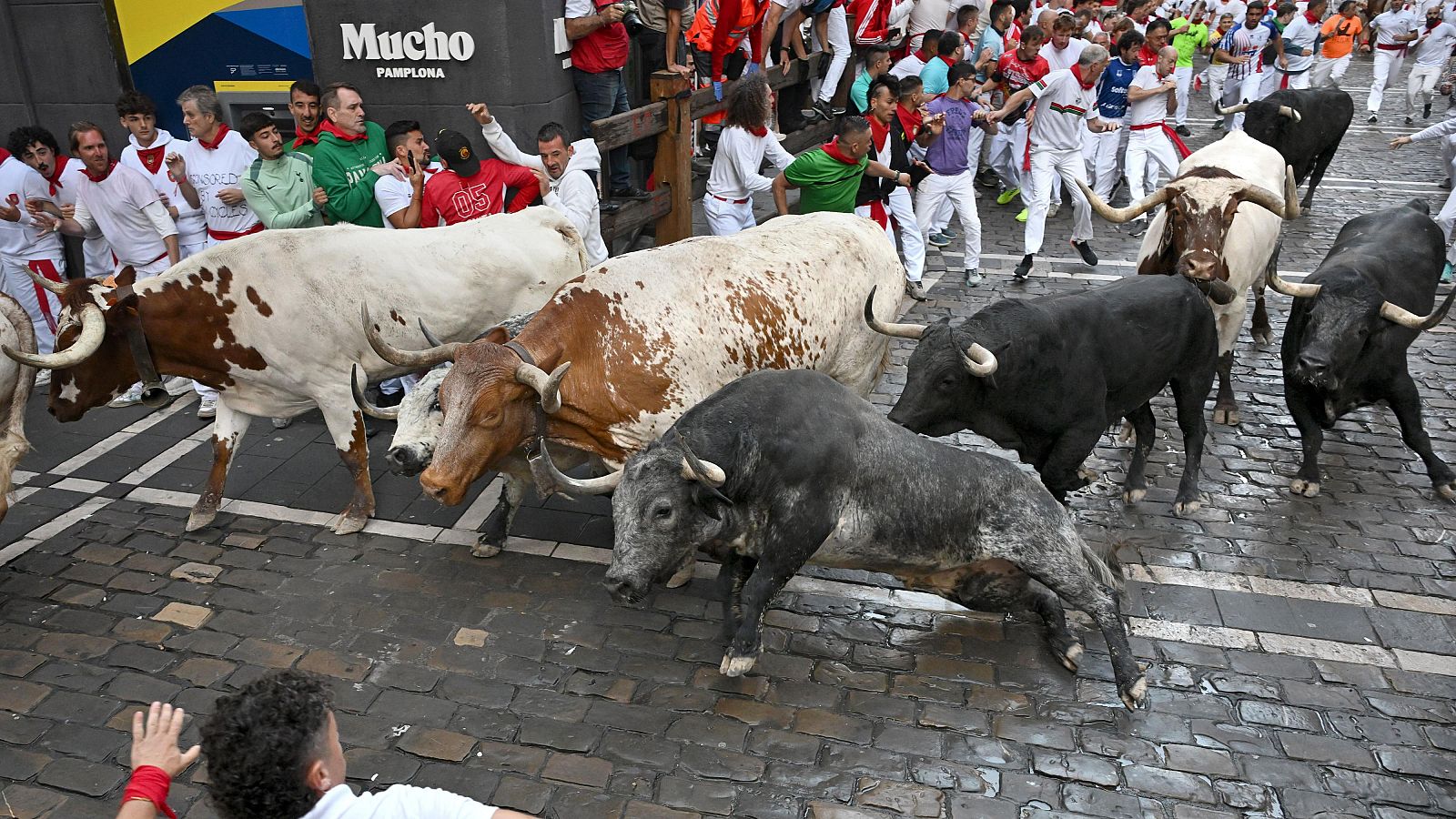 La peligrosa Cebada Gago