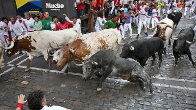 La peligrosa Cebada Gago