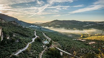 El campo se mueve: de refugio para el ahorro familiar a objeto de deseo de los fondos de inversi�n