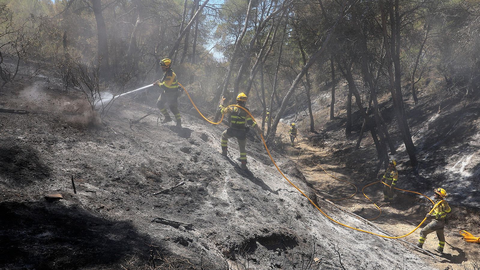 Los incendios de Leciñena y La Fueva queman ya más 3.000 hectáreas - Informativo 24h | Ver