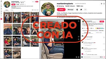 Joven con s�ndrome de Down que vende macetas no existe, es IA