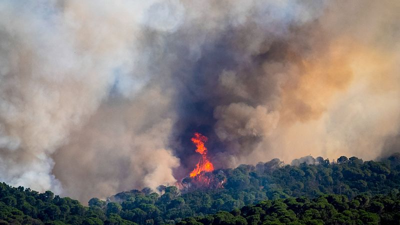 Un incendio en La Bisbal d'Empordà, Girona, deja siete municipios confinados y 2.300 hectáreas quemadas