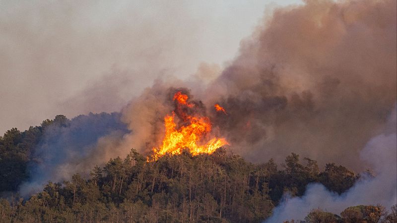 El incendio de La Bisbal est� estabilizado al 70%