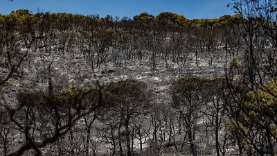 En llibertat l'operari que hauria provocat el foc amb una serra radial