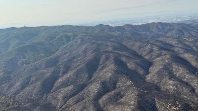 L'incendi de les Gavarres crema 2.200 hectàrees i continua sota vigilància