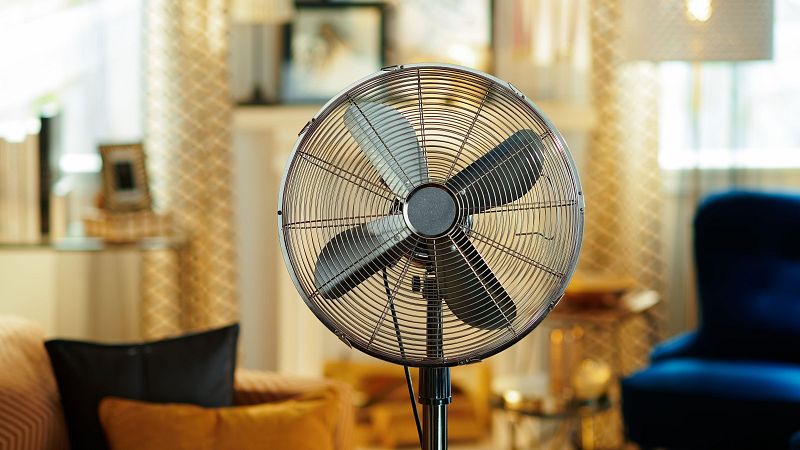 El calor, enemigo silencioso para vinos, libros y objetos de valor en casa: ¿cómo protegerlos?, ¿lo cubre el seguro?