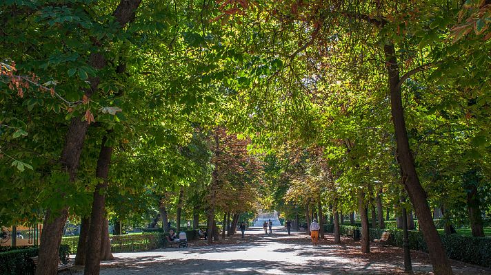 Los grandes aliados contra el cambio clim�tico en las ciudades