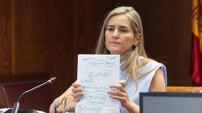 Aagesen niega que recibiera presiones para los rescates a Air Europa y Tubos Reunidos: "Nunca, en ning�n expediente"