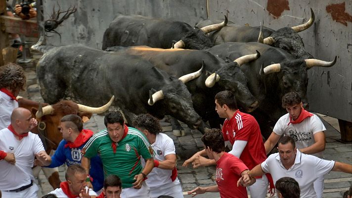 La manada, muy hermanada, persigue a los mozos durante el encierro