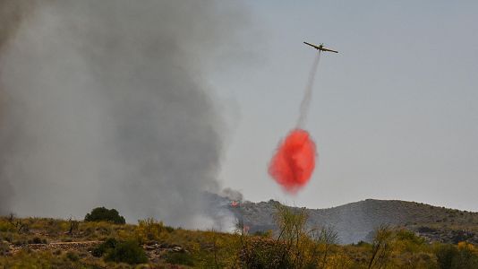 Al menos 12 muertos en un incendio forestal en Los Gallardos, Almer�a