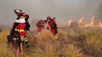 Al menos 11 muertos en un incendio forestal en Los Gallardos.