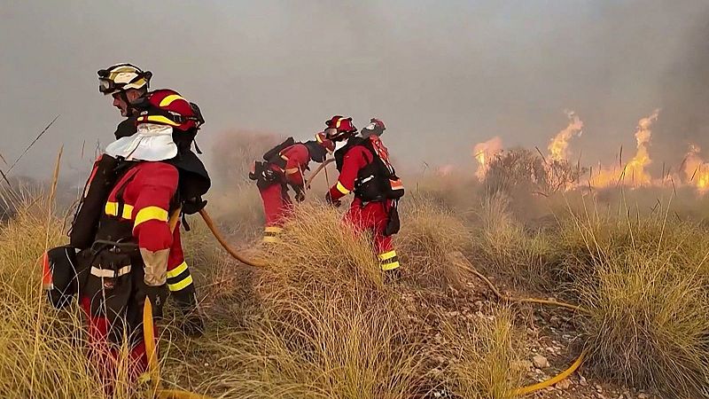 La huida por rutas improvisadas convirtió la evacuación del incendio de Los Gallardos en una trampa mortal