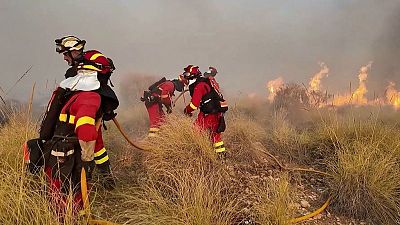 Al menos 11 muertos en un incendio forestal en Los Gallardos