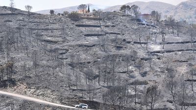 Ladera calcinada en el incendio originado en Los Gallardos, en Almer�a.