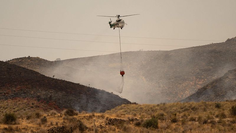 Incendio en Los Gallardos, Almería, última hora en directo hoy | La Junta andaluza eleva a 6.600 las hectáreas arrasadas por el fuego