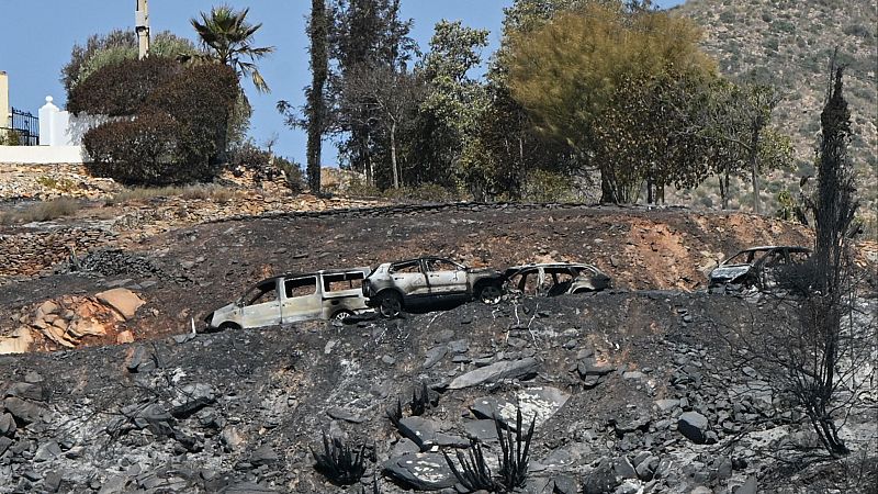 La Junta andaluza eleva a 6.600 las hectáreas quemadas por el incendio forestal de Los Gallardos