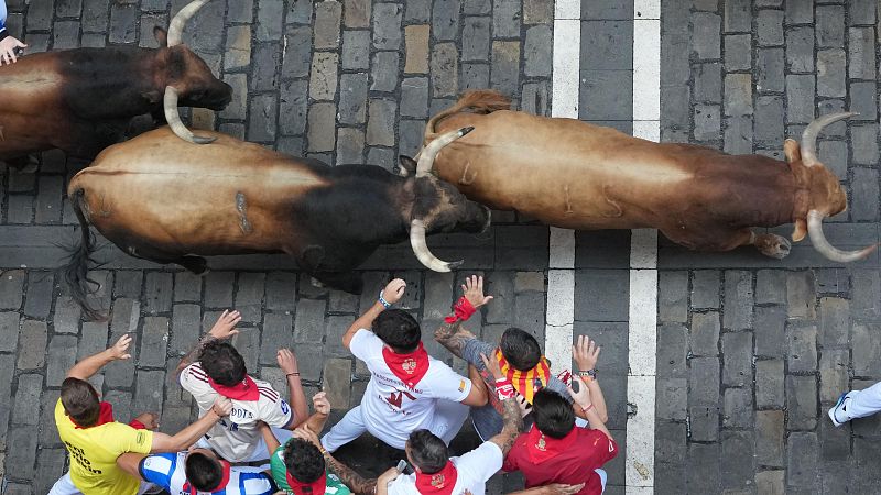 ¡Manos arriba!, llegan los toros: las fotos más impactantes del sexto encierro de San Fermín 2026