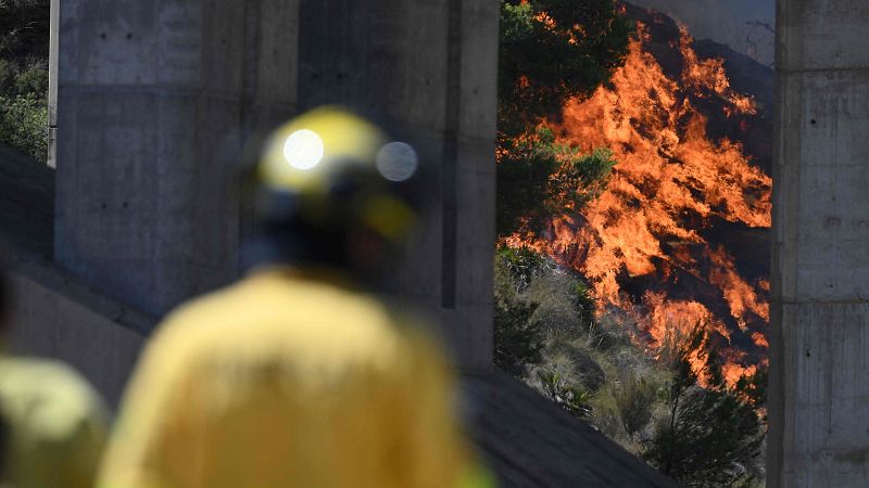 Los bomberos combaten el fuego c�rca de B�dar, en Almer�a