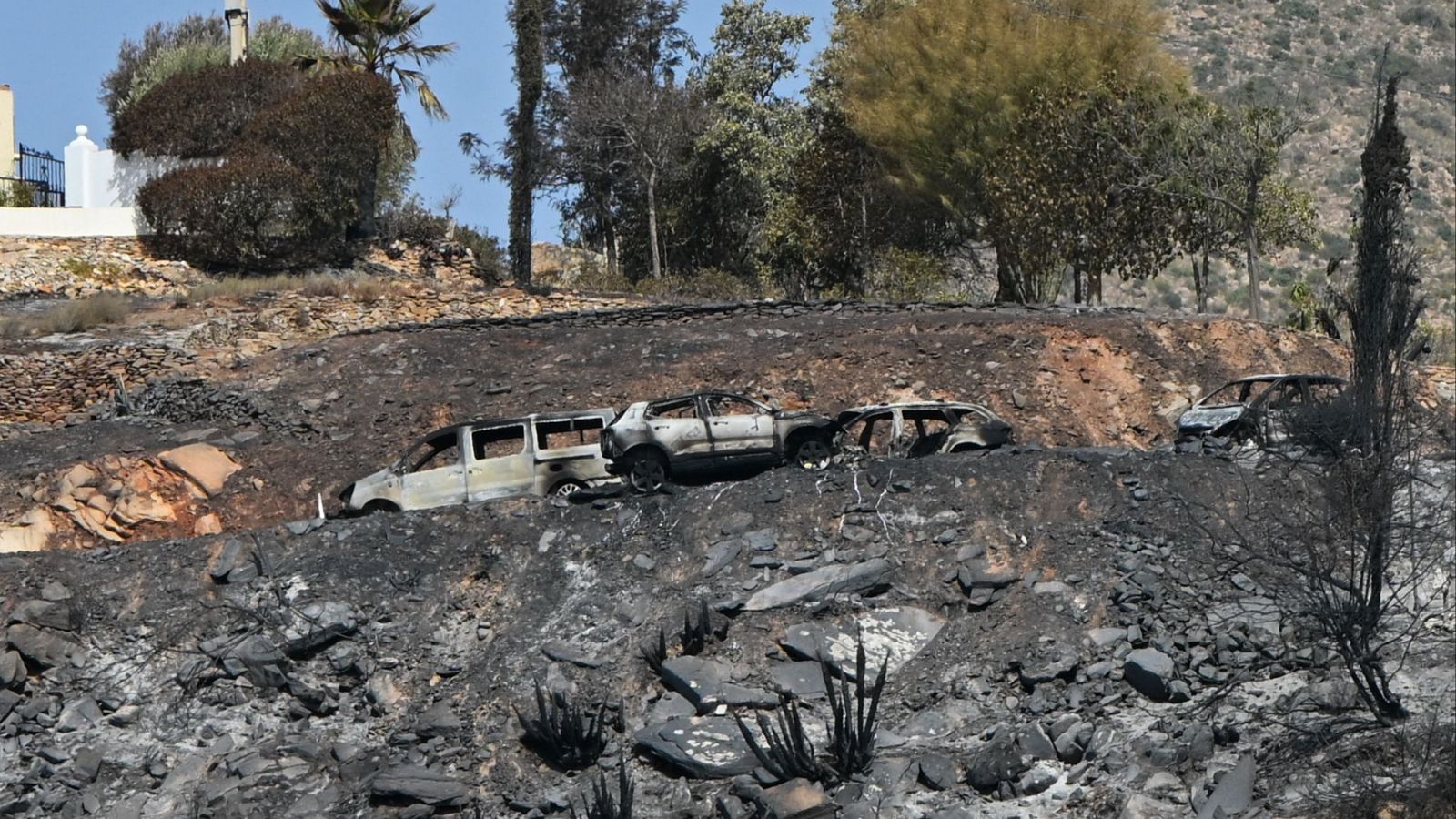 ¿Qué sabemos del incendio de Los Gallardos? | Ver