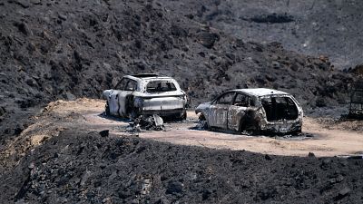 Incendio de Los Gallardos: qu� se sabe.