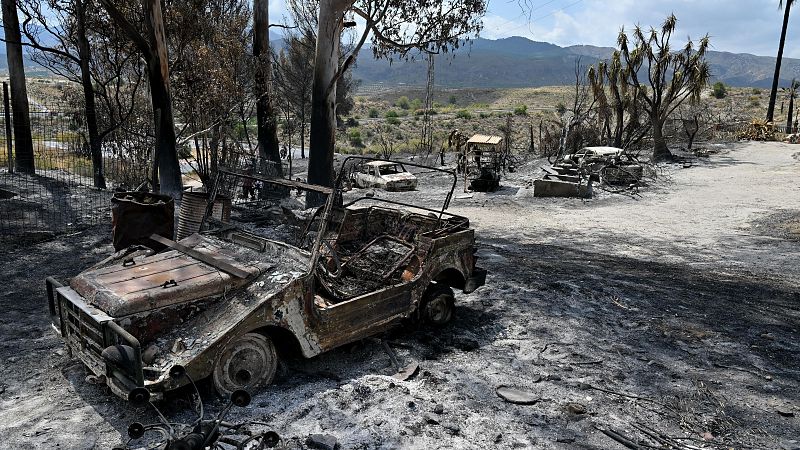 Vídeo en directo | El incendio de Los Gallardos está "estabilizado" y autorizan el regreso de los mil desalojados: "Es el principio del fin"