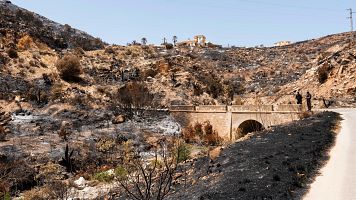 Concluye la identificaci�n de las 13 v�ctimas mortales del incendio de Los Gallardos, Almer�a