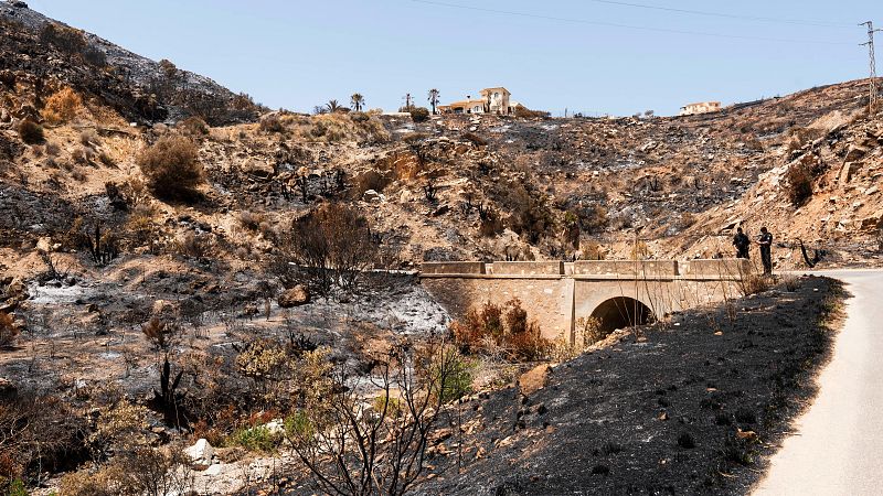 Concluye la identificación de las 13 víctimas mortales del incendio de Los Gallardos, Almería