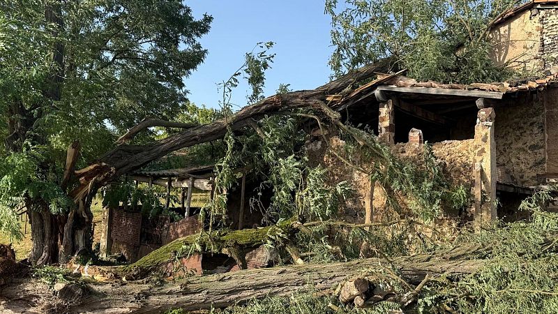 Tretze ferits per la caiguda d'un arbre sobre el porxo d'una masia a Batet de la Serra