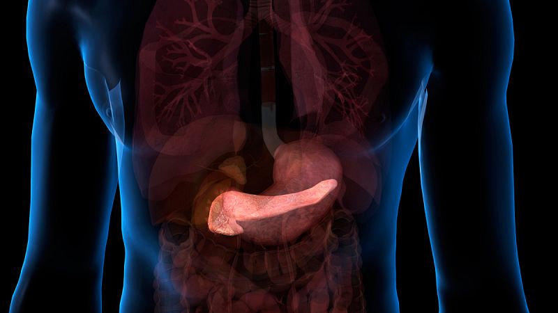 Diseñan un nuevo fármaco capaz de frenar la diabetes tipo 1