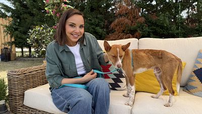 'Dog House' regresa este martes a La 1 con una segunda temporada m�s ambiciosa y emotiva