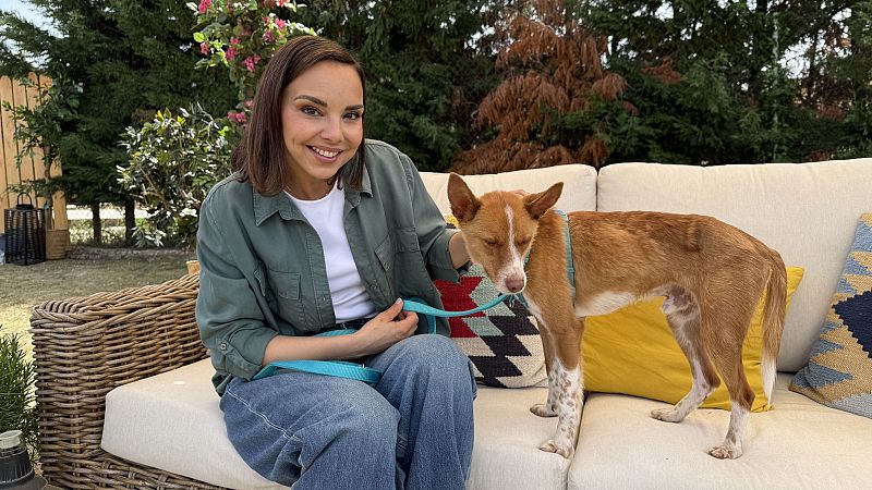 'Dog House' regresa este martes a La 1 con una segunda temporada más ambiciosa y emotiva