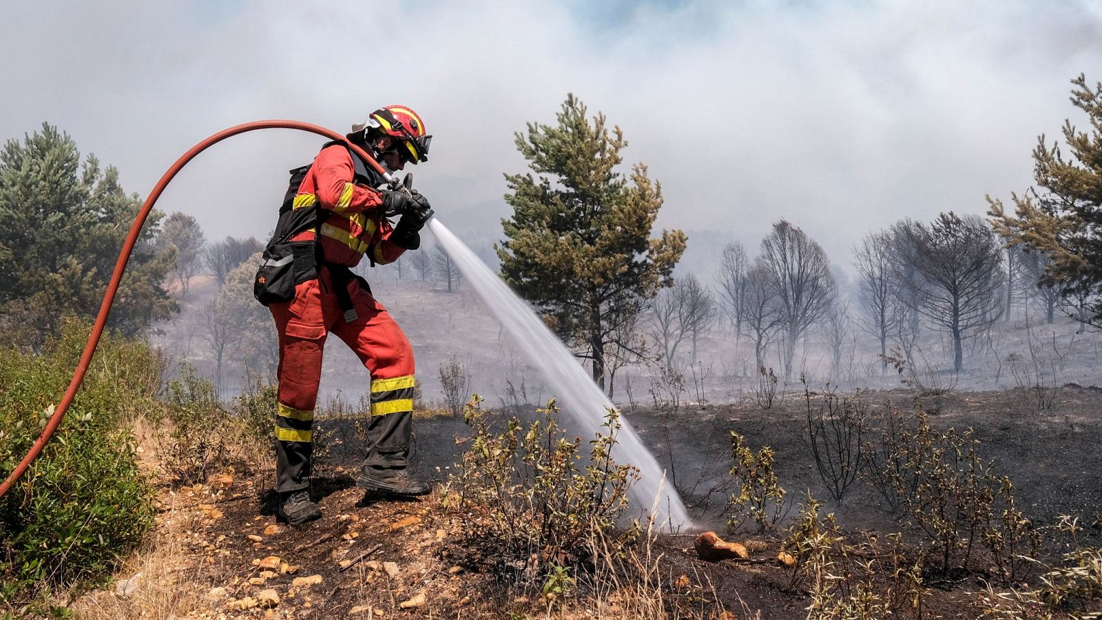 Los incendios de La Mierla y Selas preocupan en Guadalajara | Ver