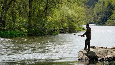 Asturias vedar� la pesca del salm�n en 2027 sin dejar de lado la tradici�n del 'campanu'