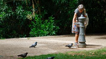 Más de un centenar de muertes por la ola de calor en Navarra